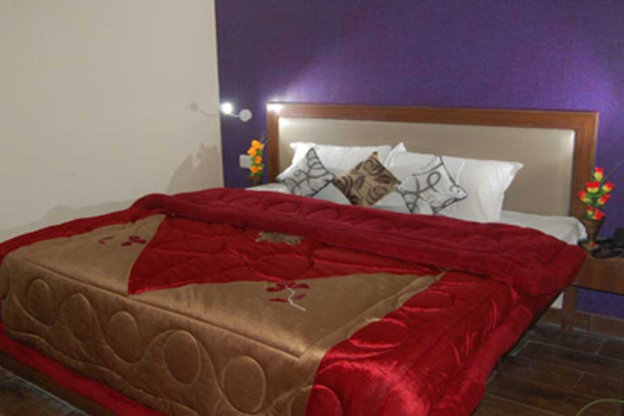 Hotel Valley View Shimla