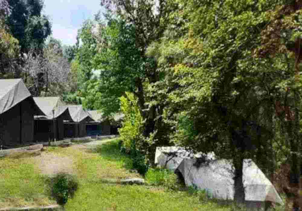 LETS Camp Chail Hills