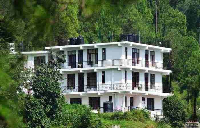 White Mushroom Sanawar View Kasauli 
