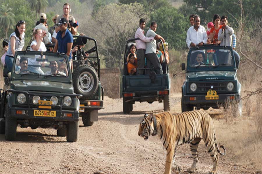 Ranthambore