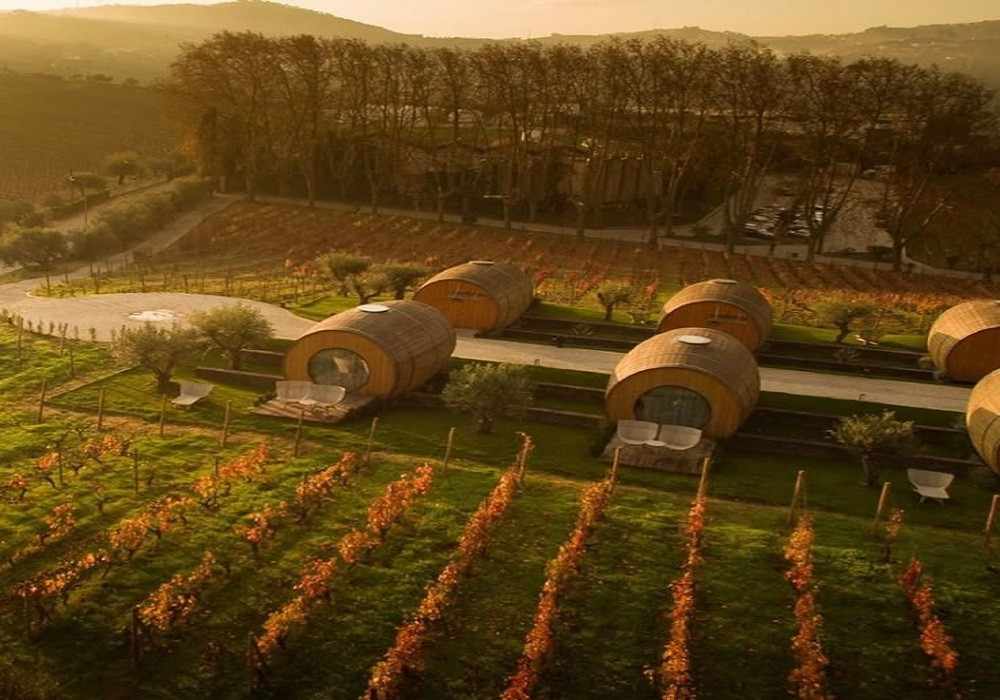 Image of Farms and Ranches