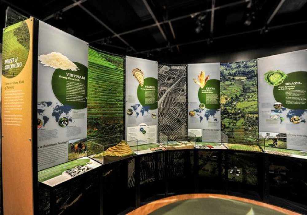 Image of Environmental Exhibitions