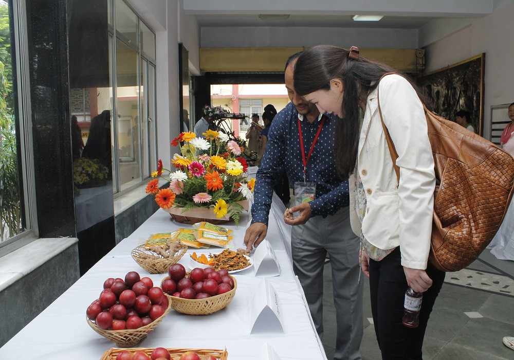 Image of Consumer Exhibitions