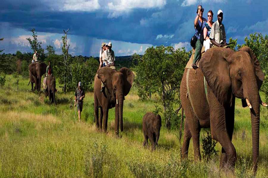 Nainital Jim Corbett Tour Package