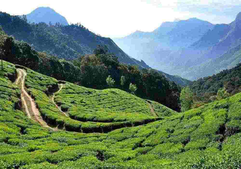 Idukki Independence Day Package