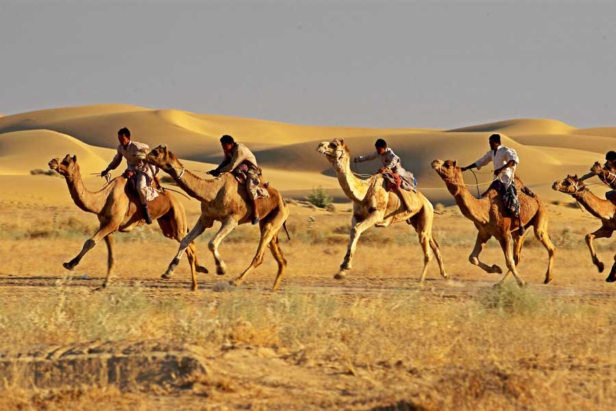Jaisalmer Desert Tour Package