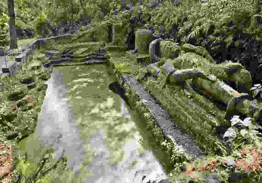 Bandhavgarh Honeymoon Package