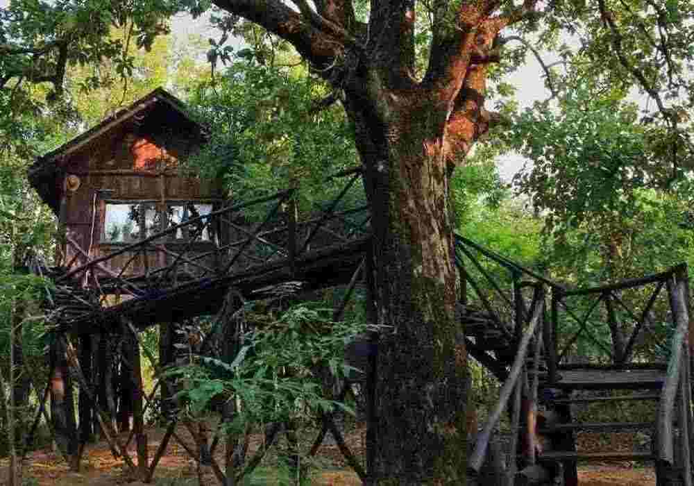 Bandhavgarh Weekend Package