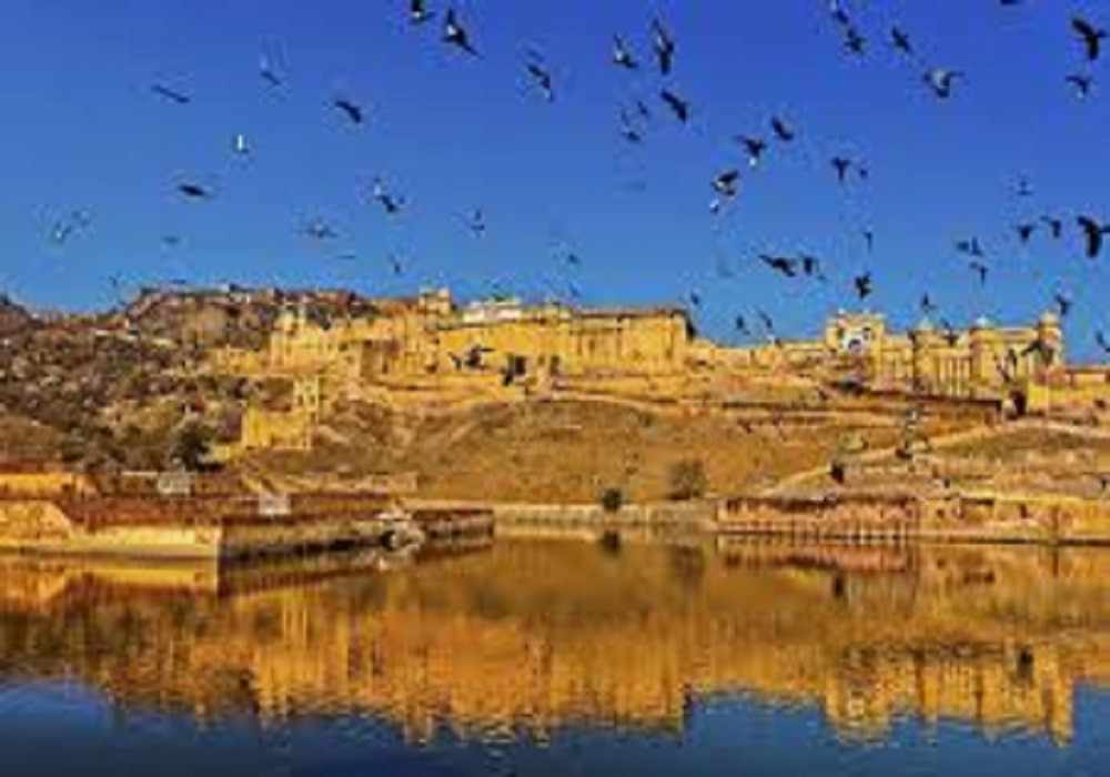 Bharatpur Holi Package