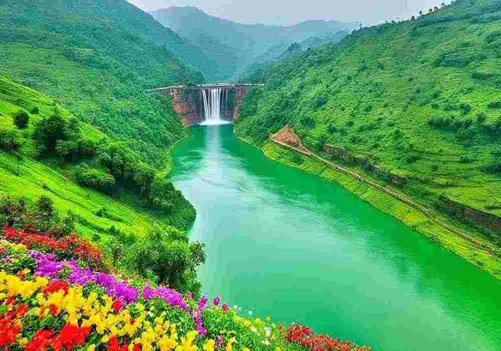 Bilaspur Group Tour Package