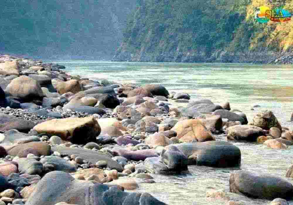 Byasi New Year Package