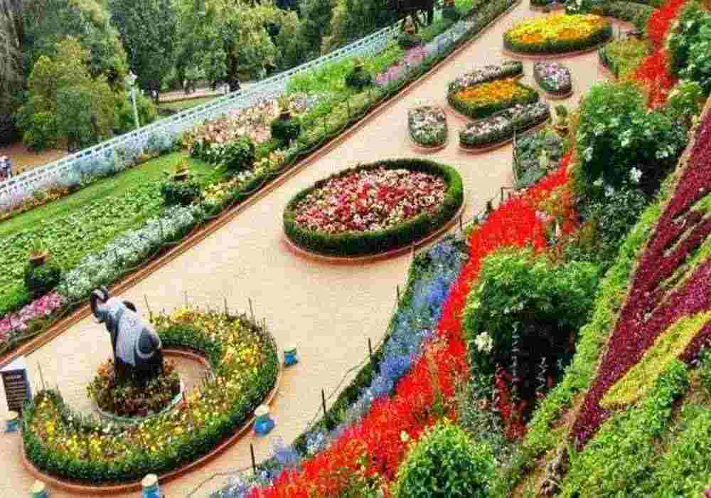 Chandigarh School Tour