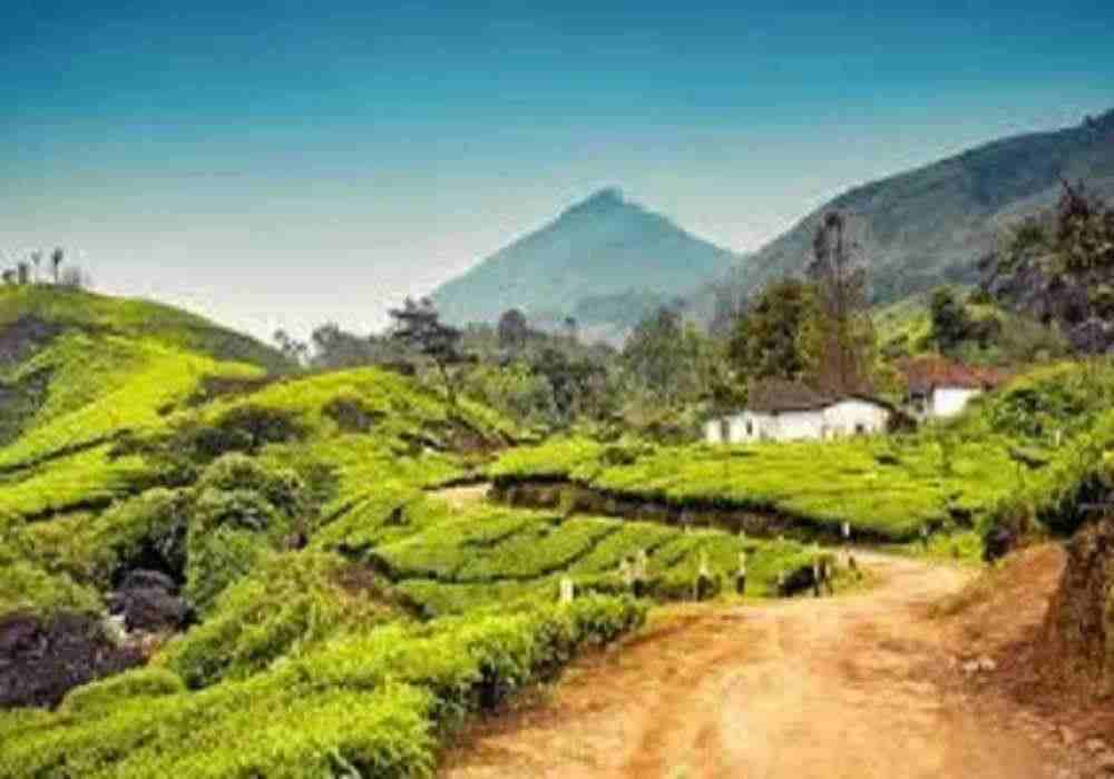 Chennai Holi Package