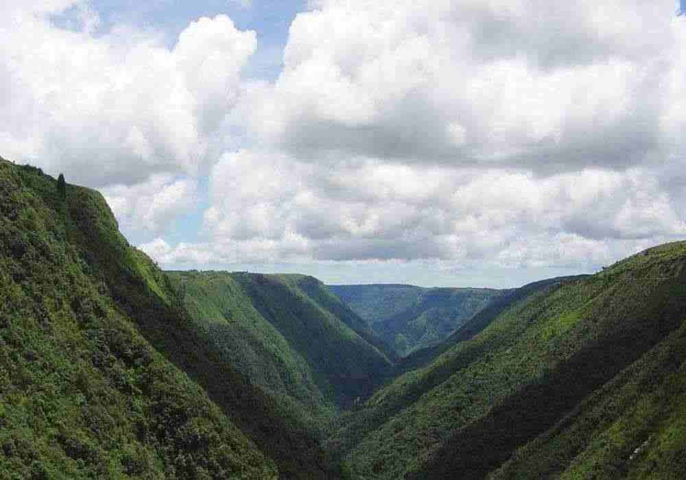 Cherrapunji Destination Wedding Venue