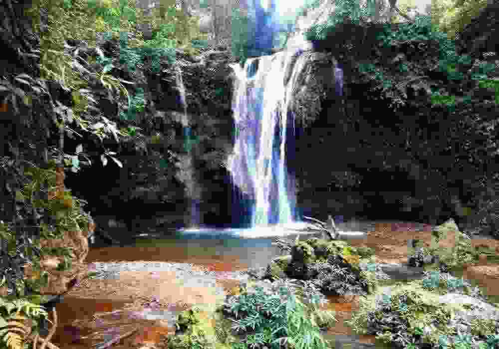 Corbett Honeymoon Package