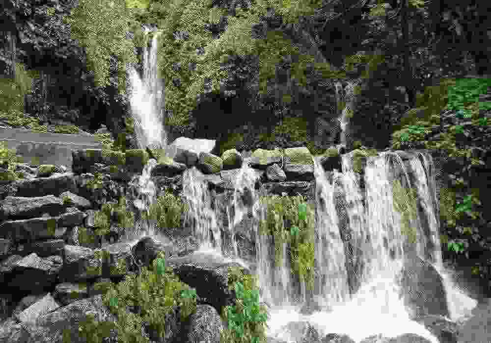 Dalhousie Group Tour Package