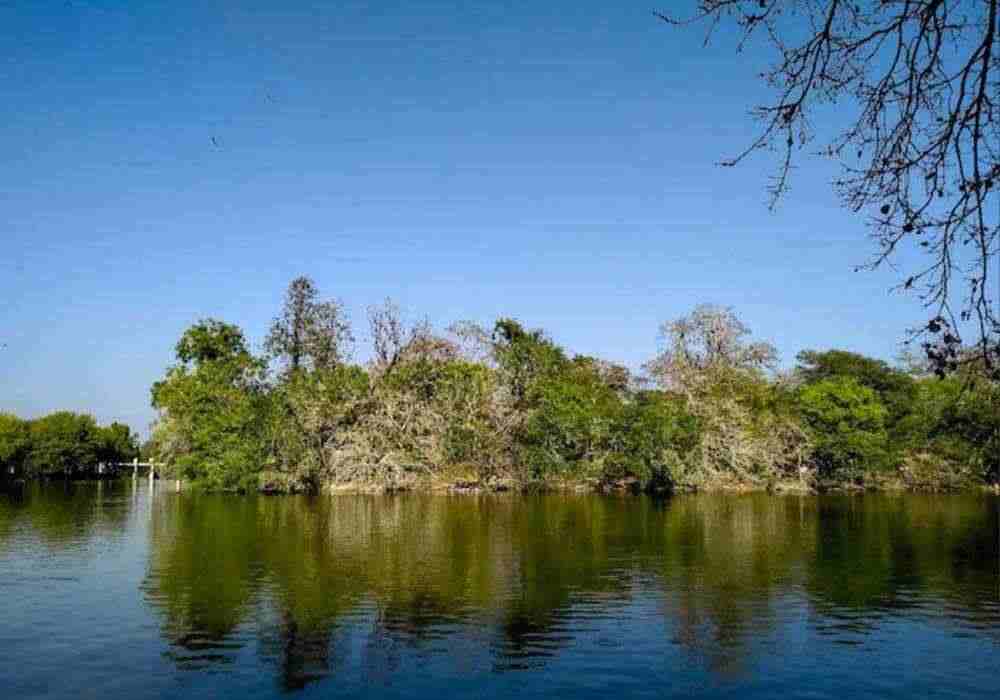 Damdama Lake Corporate Tour