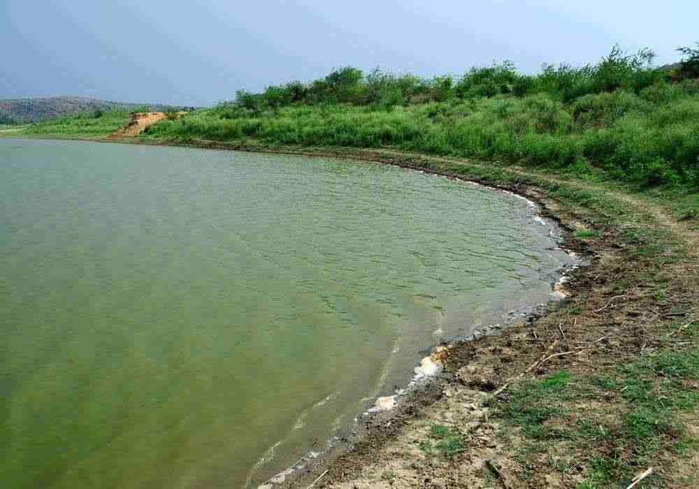 Damdama Lake Honeymoon Package