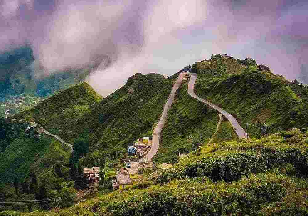 Darjeeling Corporate Tour