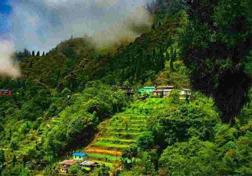 Darjeeling Honeymoon Package