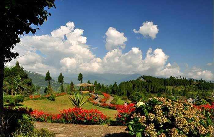 Darjeeling Kalimpong Gangtok Tour Package