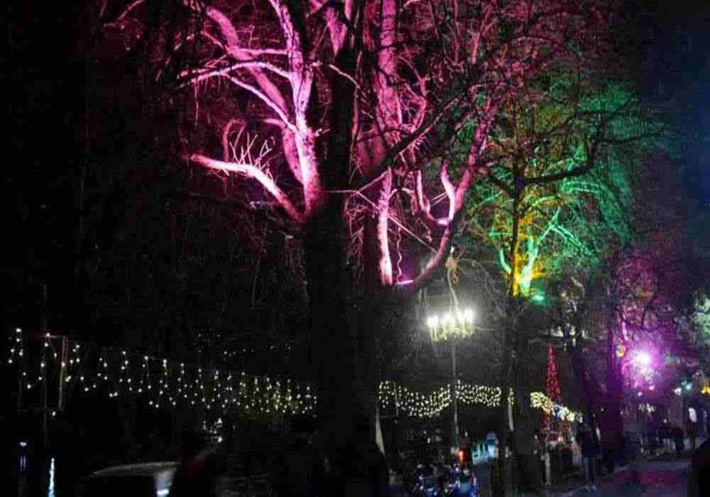 Delhi New Year Package