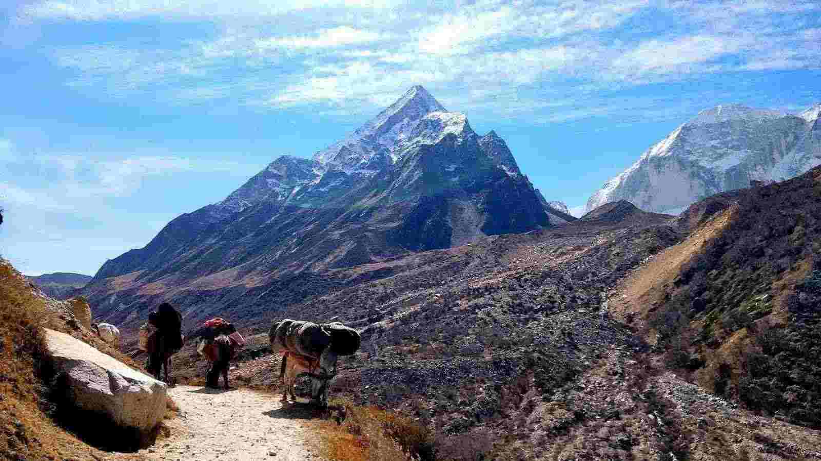 Gaumukh Tapovan Trek