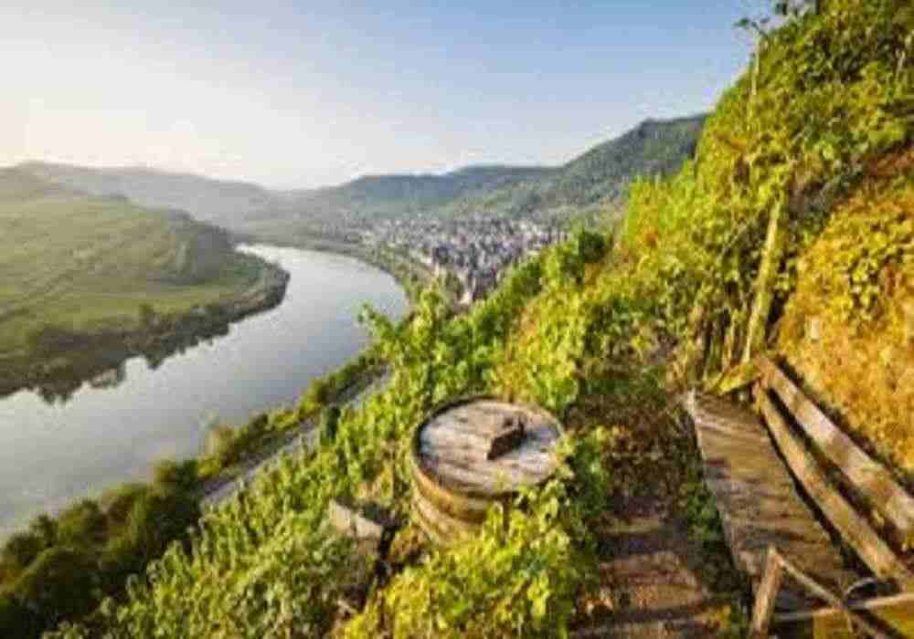 Germany School Tour Package