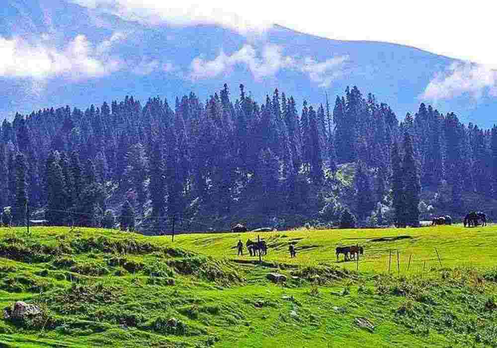 Gulmarg Corporate Tour