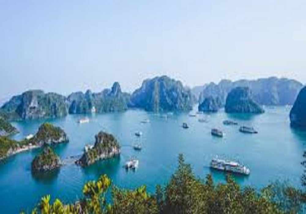 Halong bay New Year Package