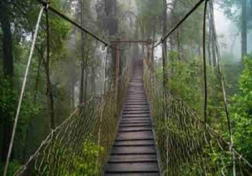 Kalimpong School Tour Package