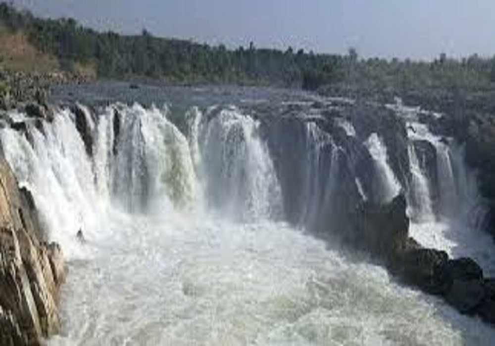 Kanha Family Package