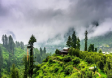 Delhi to Kasauli Trip Package