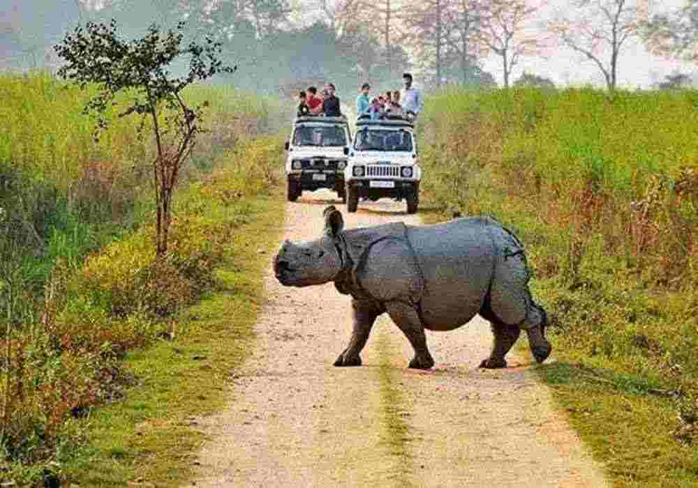 Kaziranga Corporate Tour