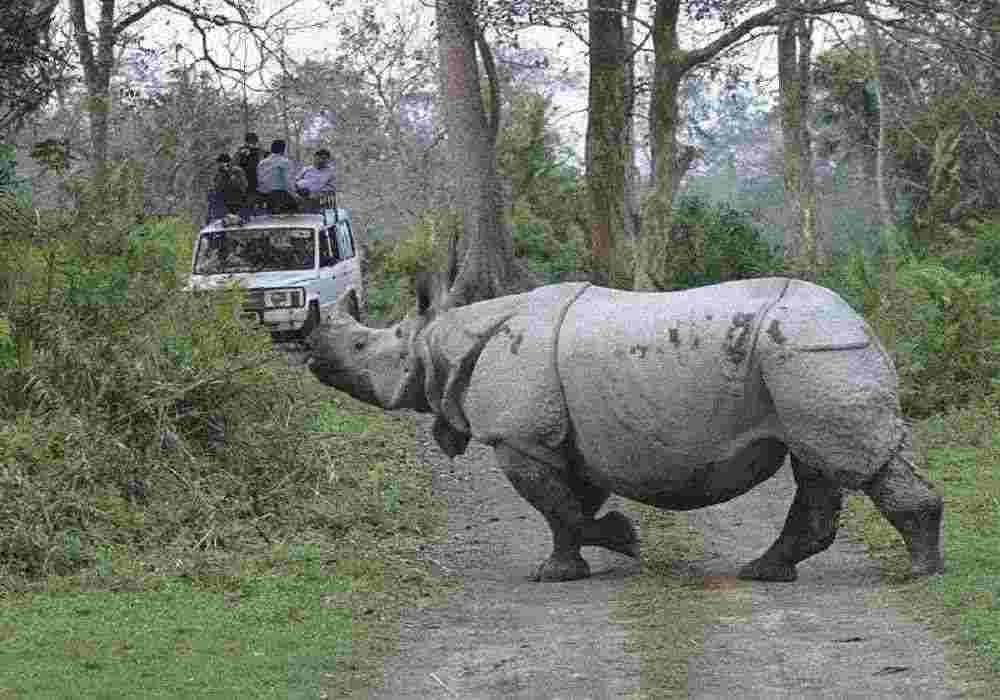 Kaziranga National Park Monsoon Package