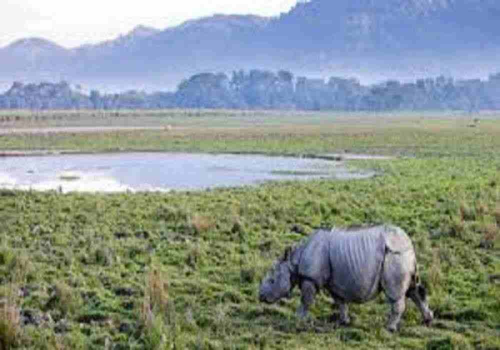 Kaziranga National Park Holi Package
