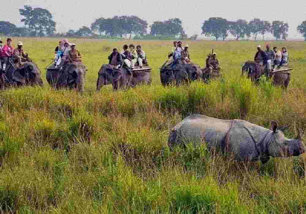 Kaziranga National Park School Tour Package