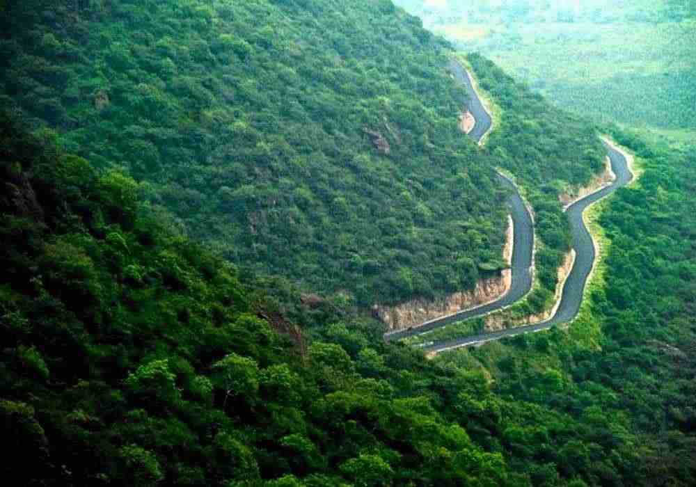 Kodaikanal School Tour