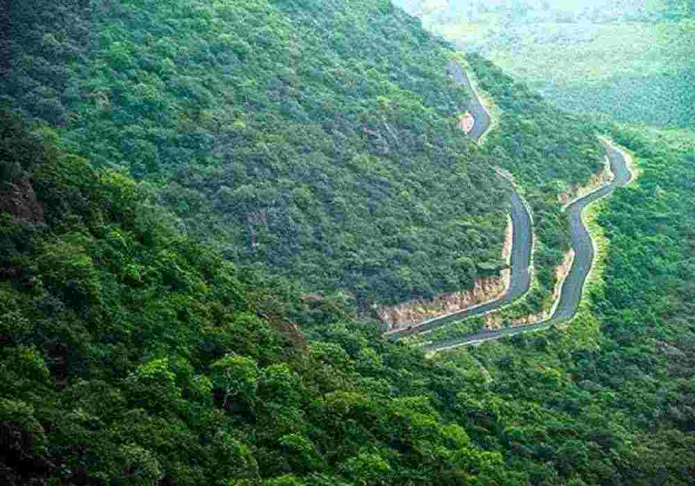 Kodaikanal Weekend Package