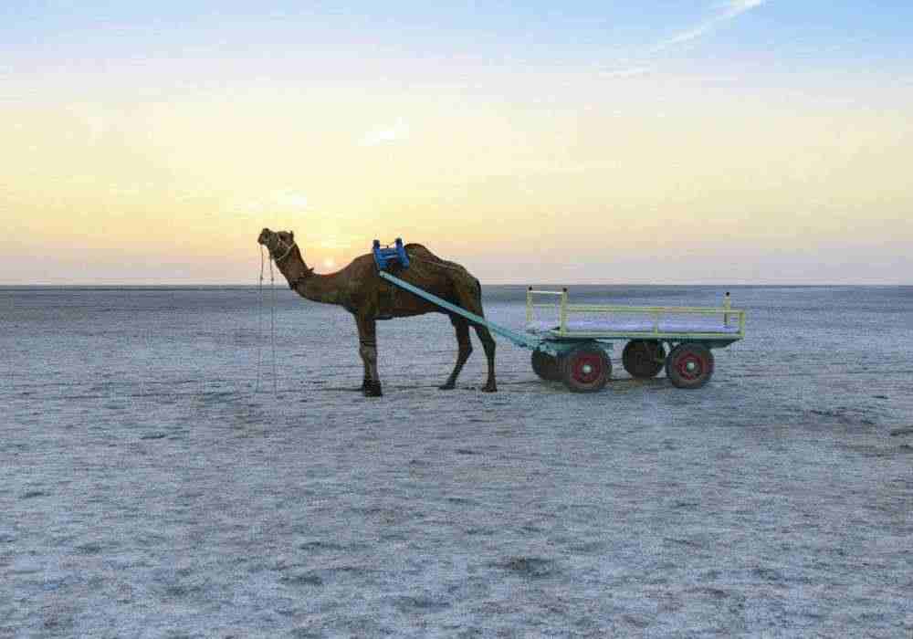 Kutch School Tour Package