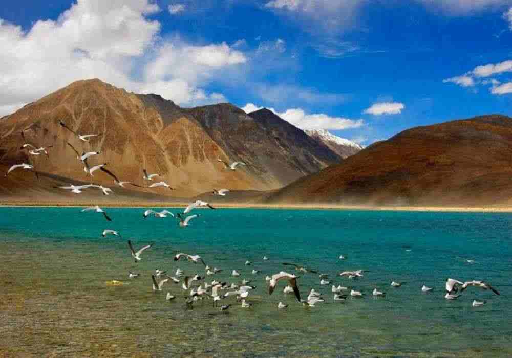Ladakh school Tour Package