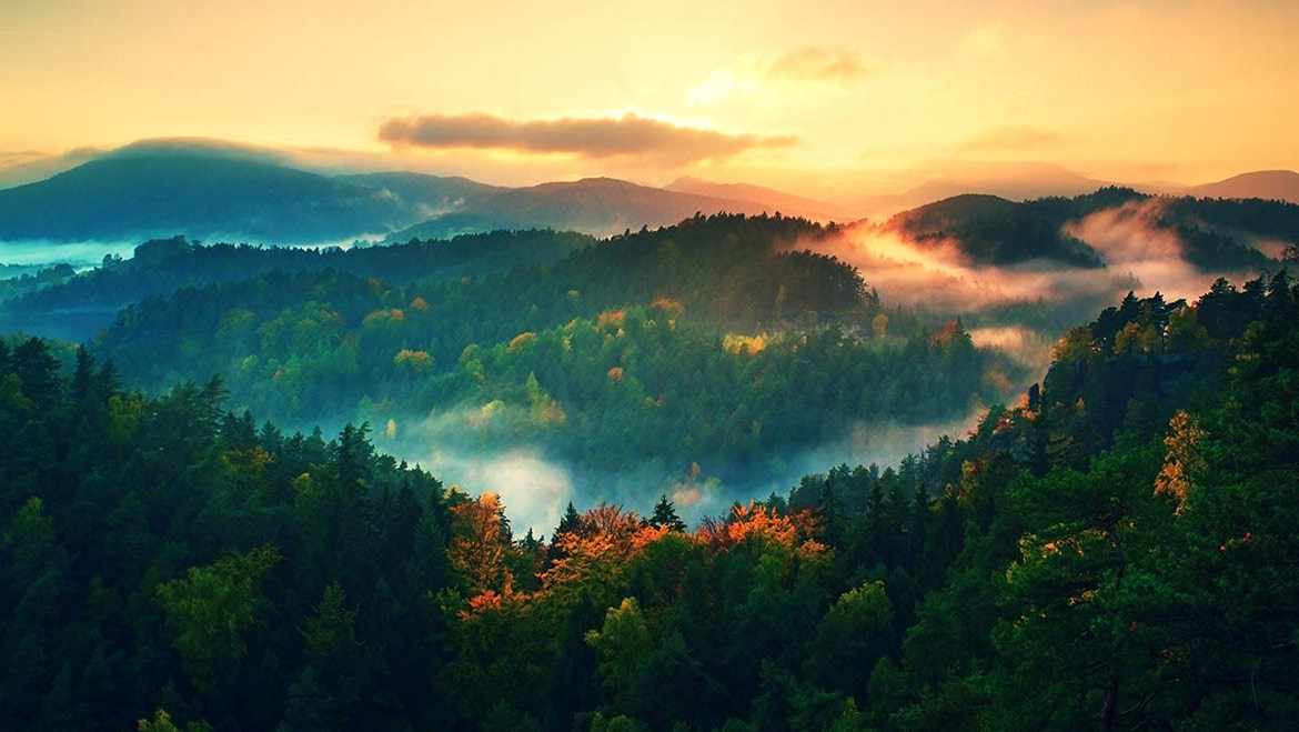 Lansdowne Tour Package