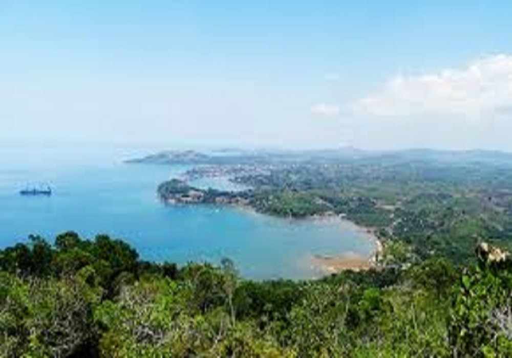 Madagascar Christmas Package