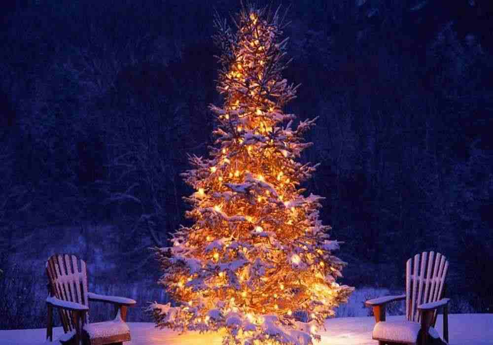 Manali Christmas Package