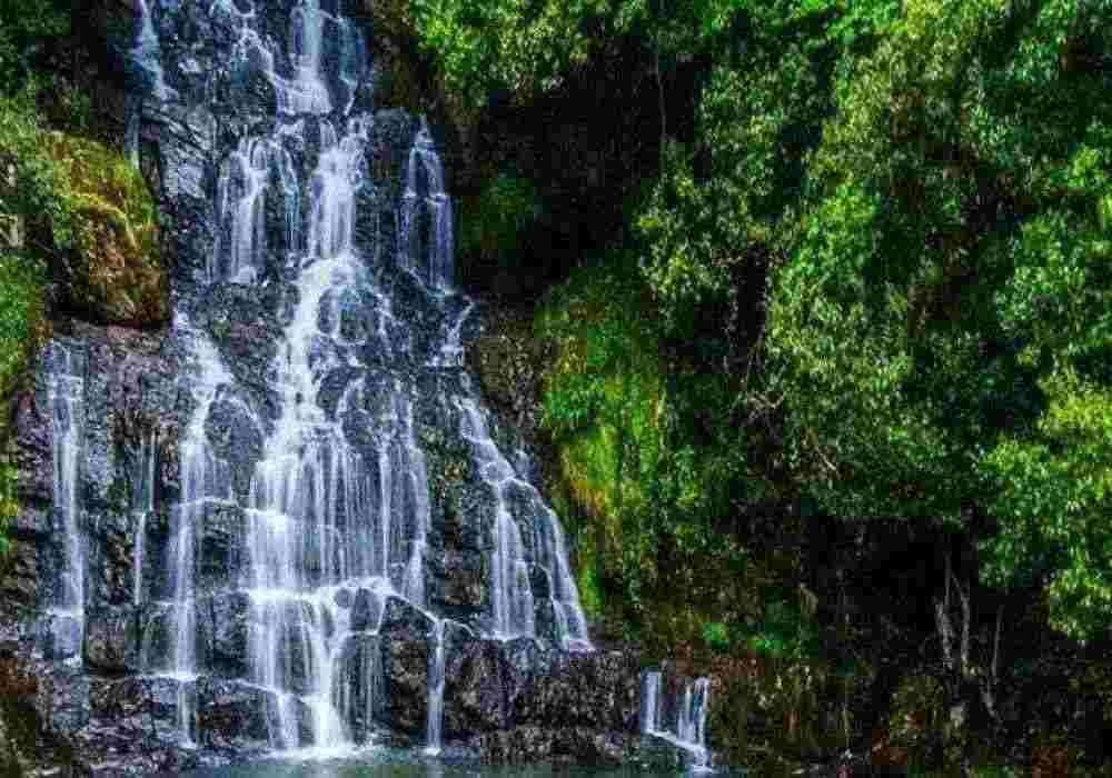 Meghalaya Group Tour