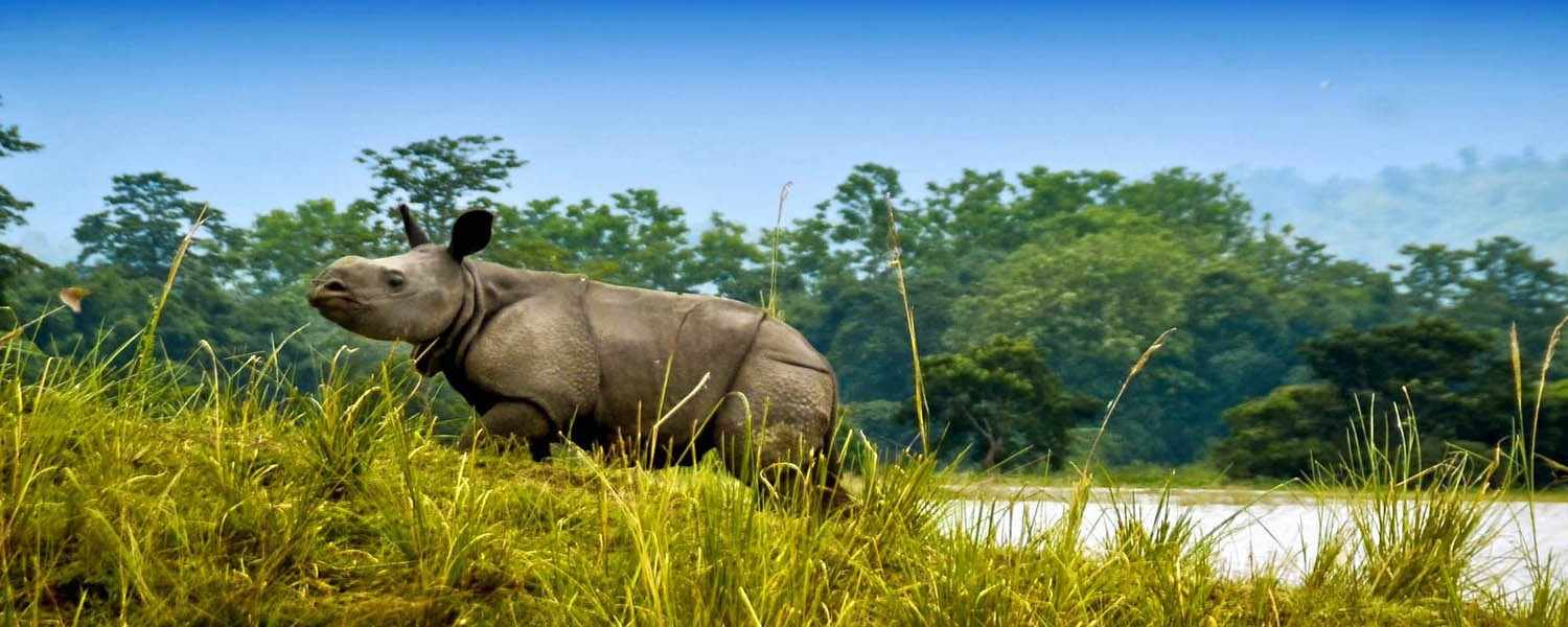 Meghalaya with Kaziranga Tour