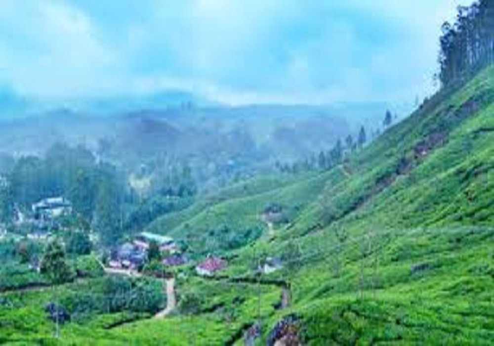 Munnar Friends Tour Package
