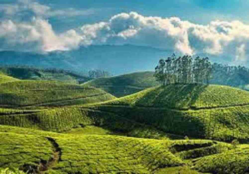Munnar Holi Package
