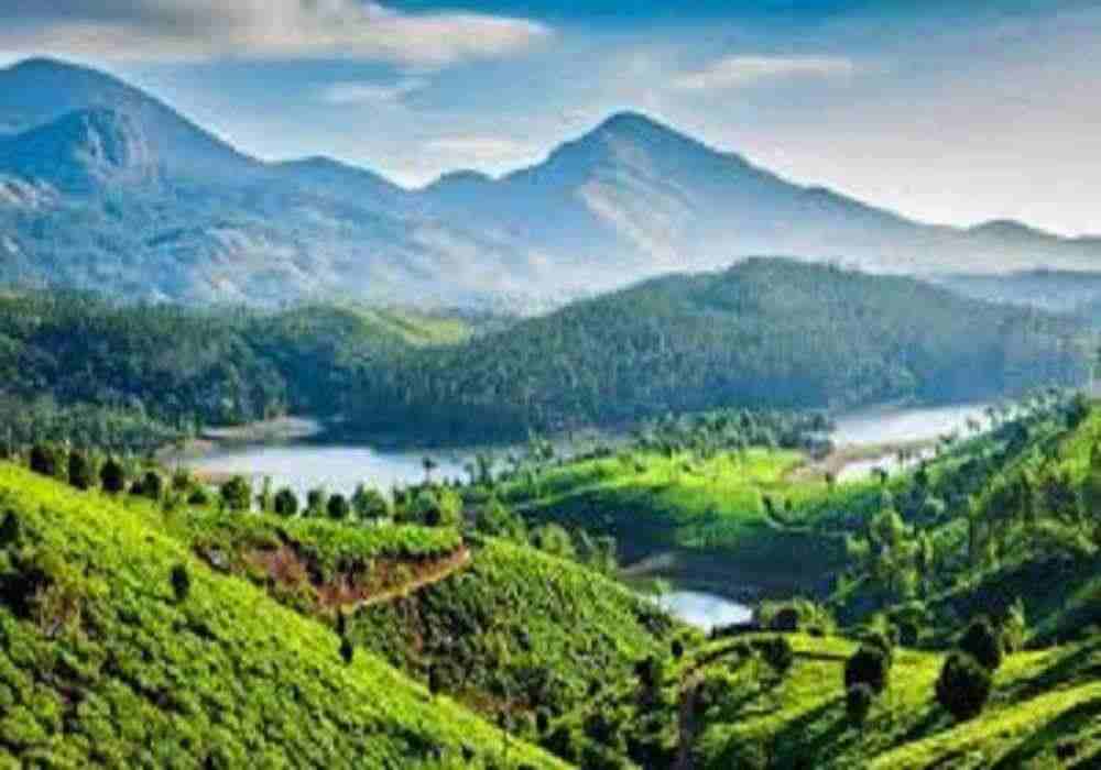 Munnar New Year Package