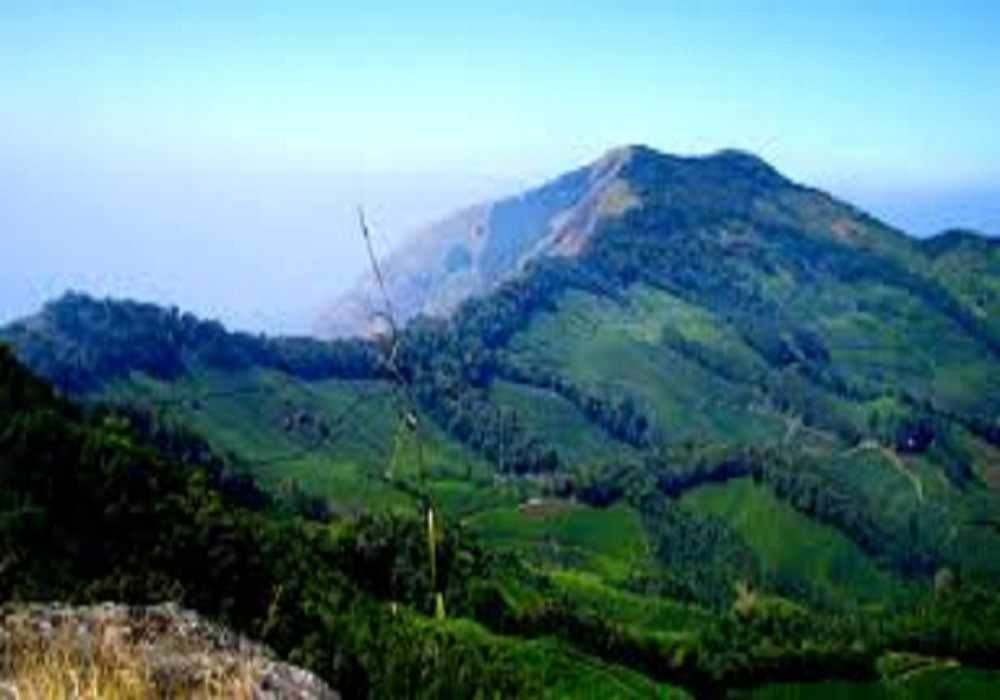 Munnar Christmas Package
